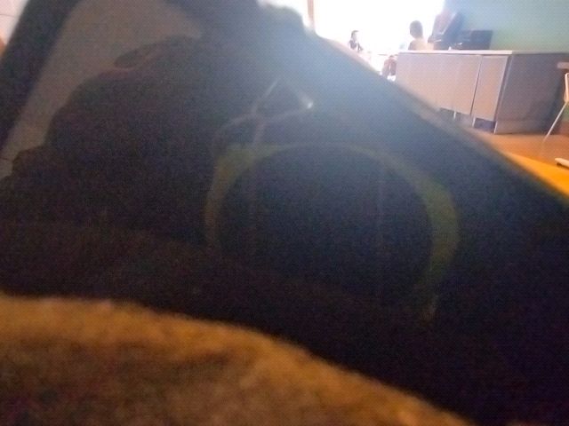 Looki L1 photo