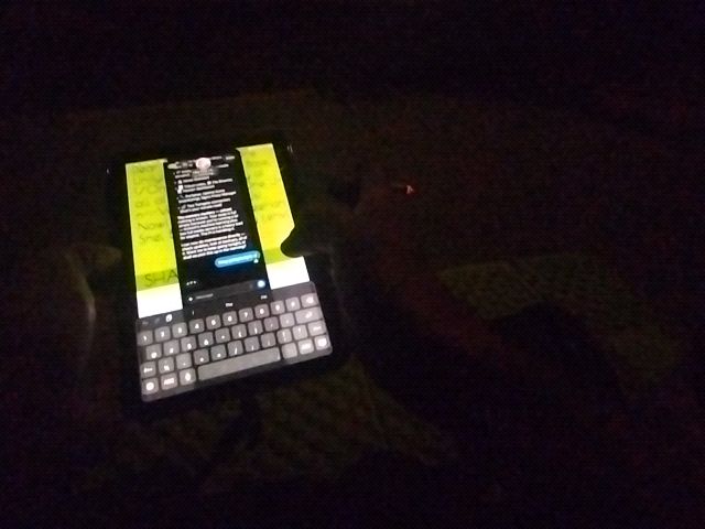 Looki L1 photo