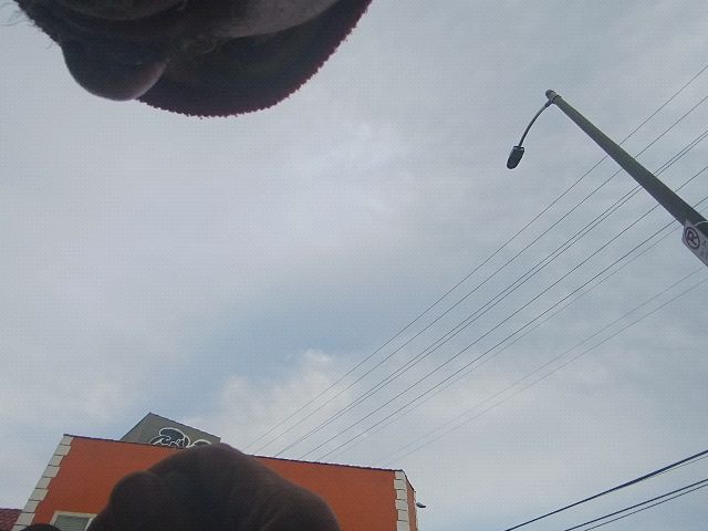 Looki L1 photo